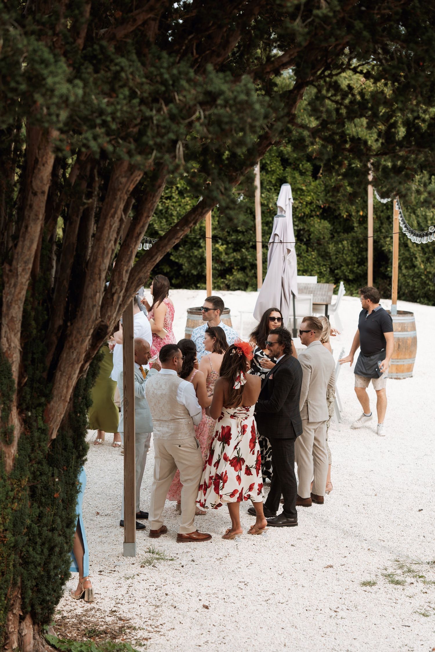 Wedding guests mingling on white gravel path under trees at outdoor venue.