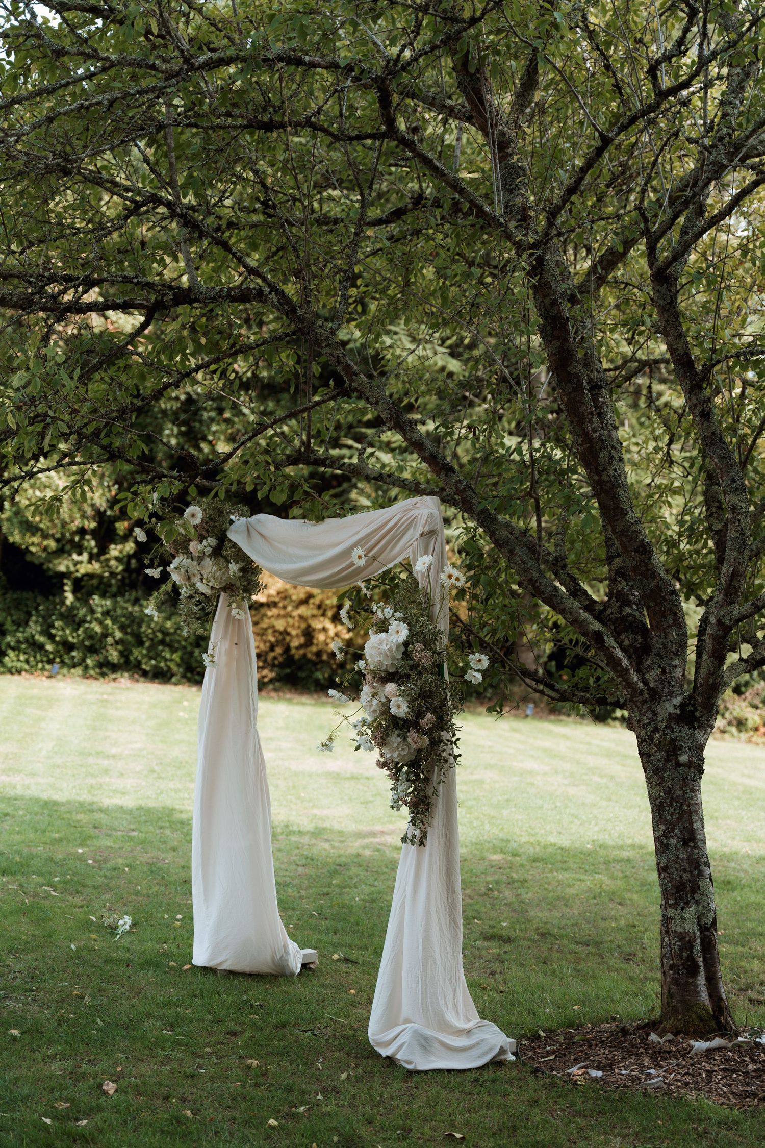 White fabric drapes elegantly hang between trees in a serene garden setting.