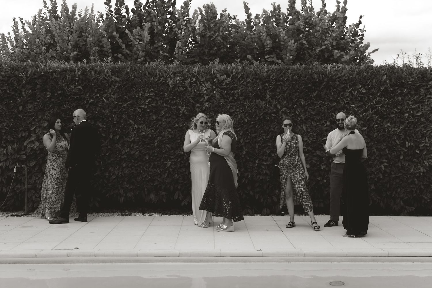 Silhouettes of wedding guests gather outdoors against a hedge backdrop.