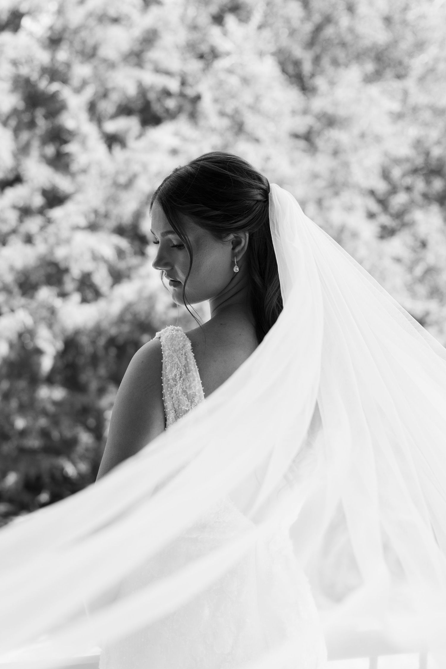 Artistic black and white photos of flowing bridal veil in natural outdoor setting.