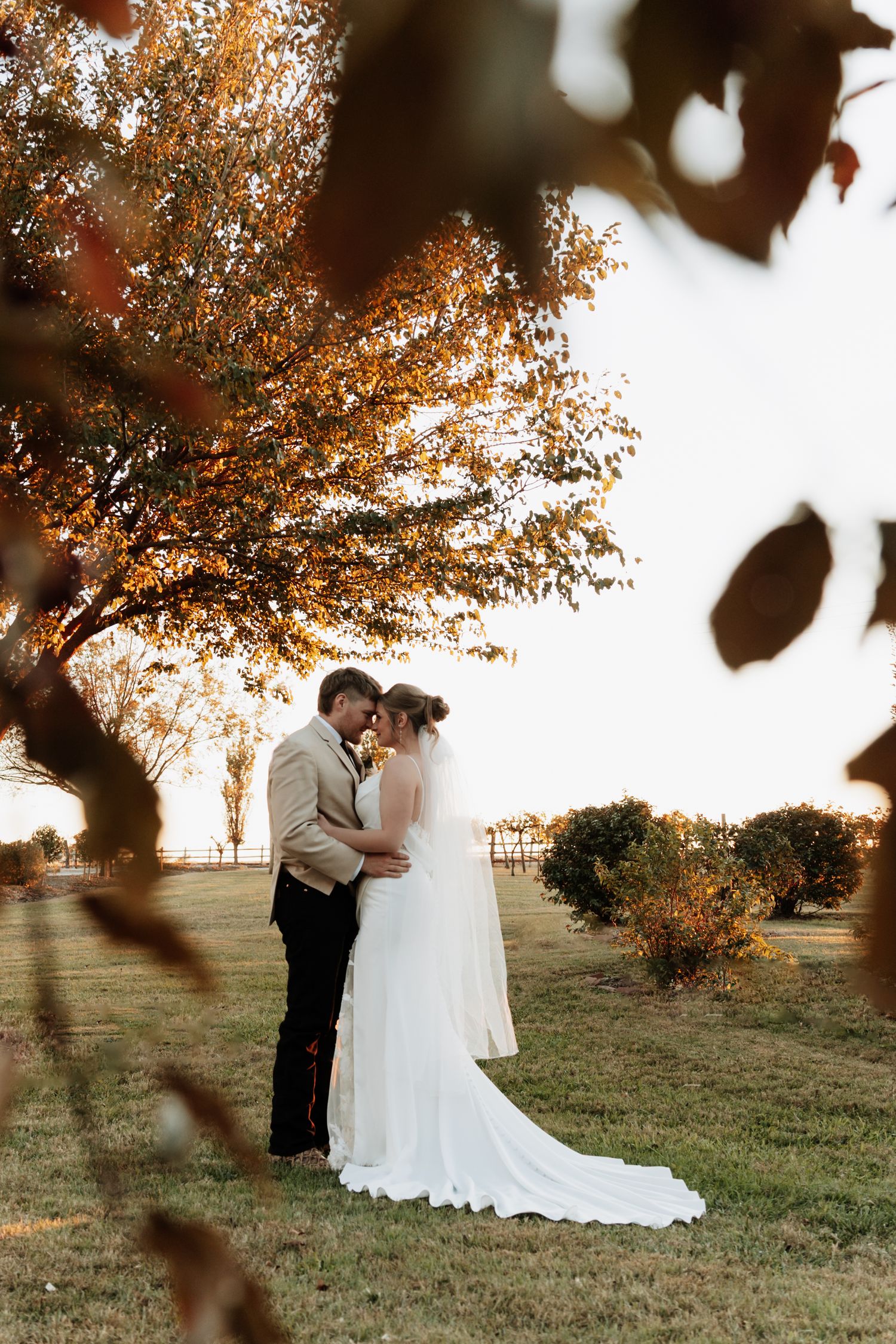 Romantic sunset wedding portraits under golden autumn tree.