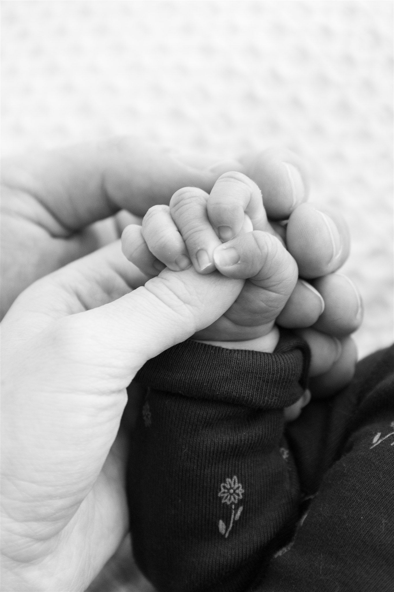 Close-up black and white image of tiny baby fingers grasping adult hand.