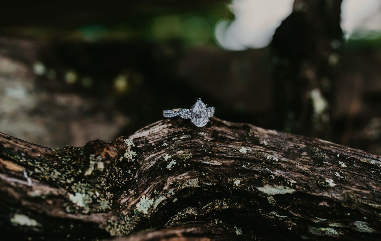 An engagement ring rests on a rustic wooden log with moss and lichen growing on its weathered surface lies in a forest setting.