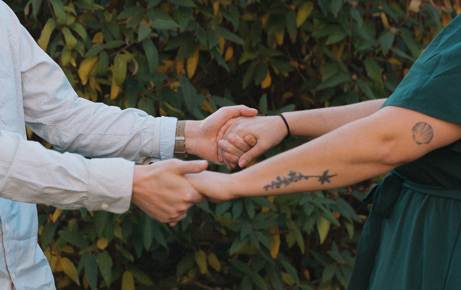 Close-up shot of hands reaching out to each other in front of green foliage background.