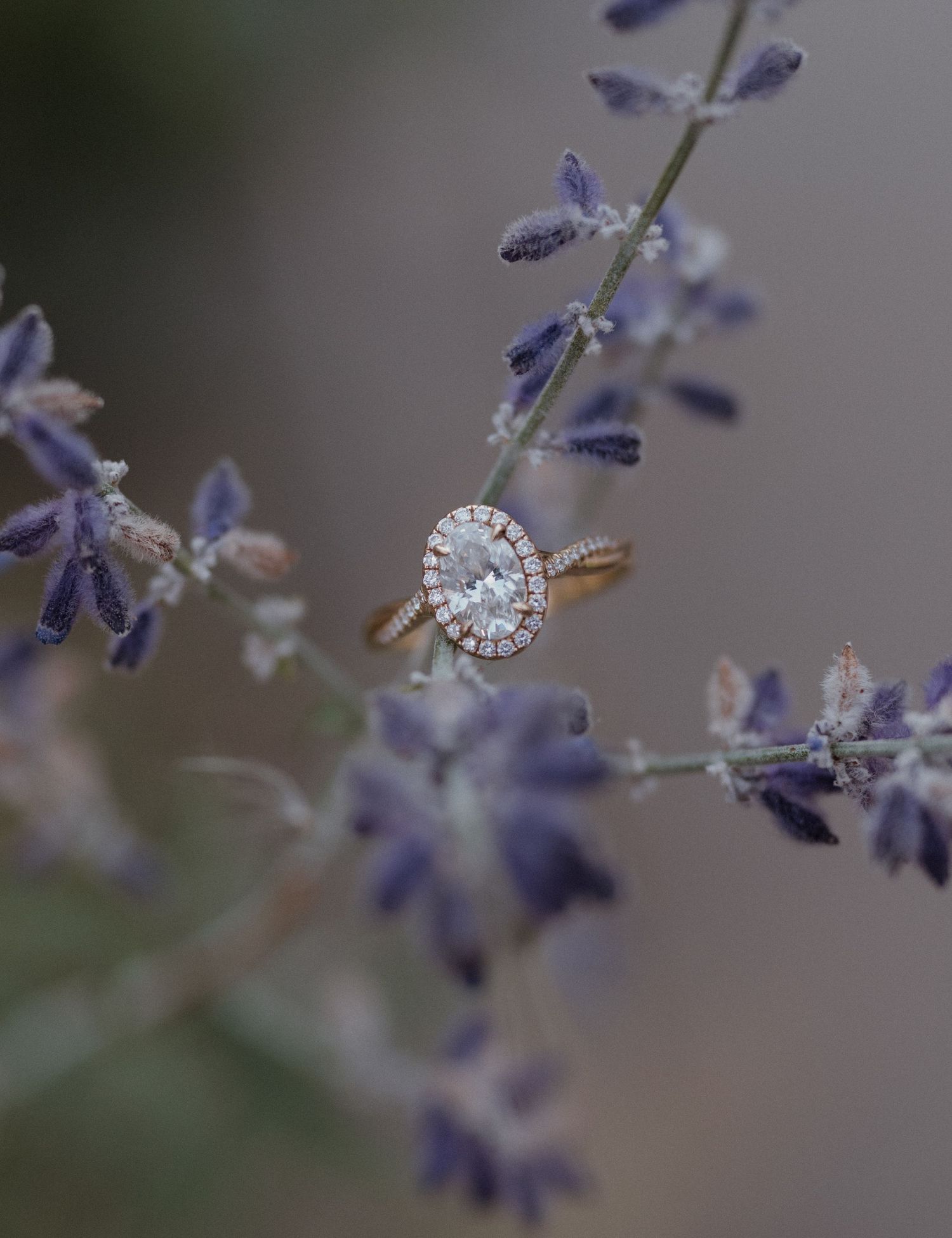A delicate diamond engagement ring sparkles among soft purple lavender flowers in a romantic outdoor setting.