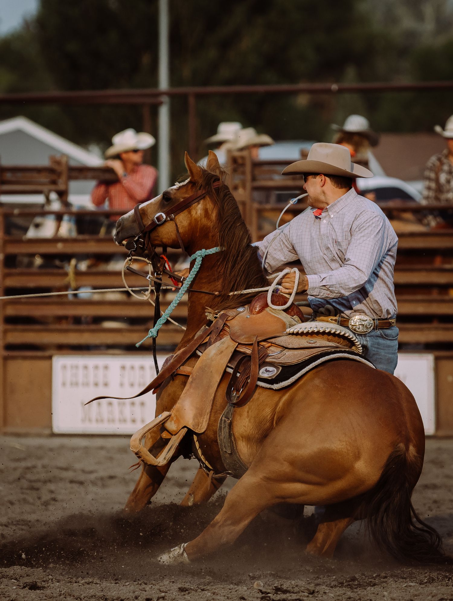 Rodeo Photography