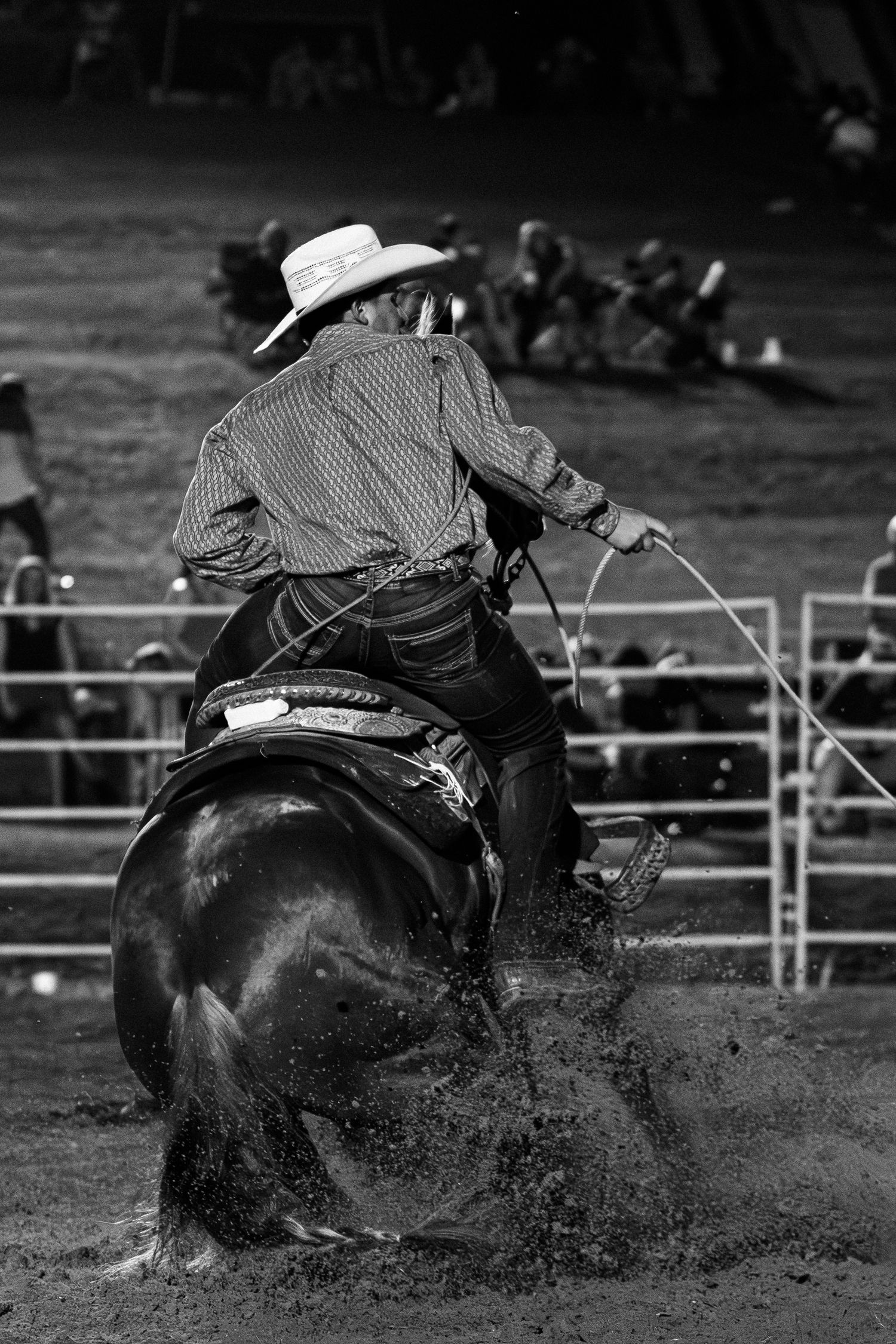 Rodeo Photography