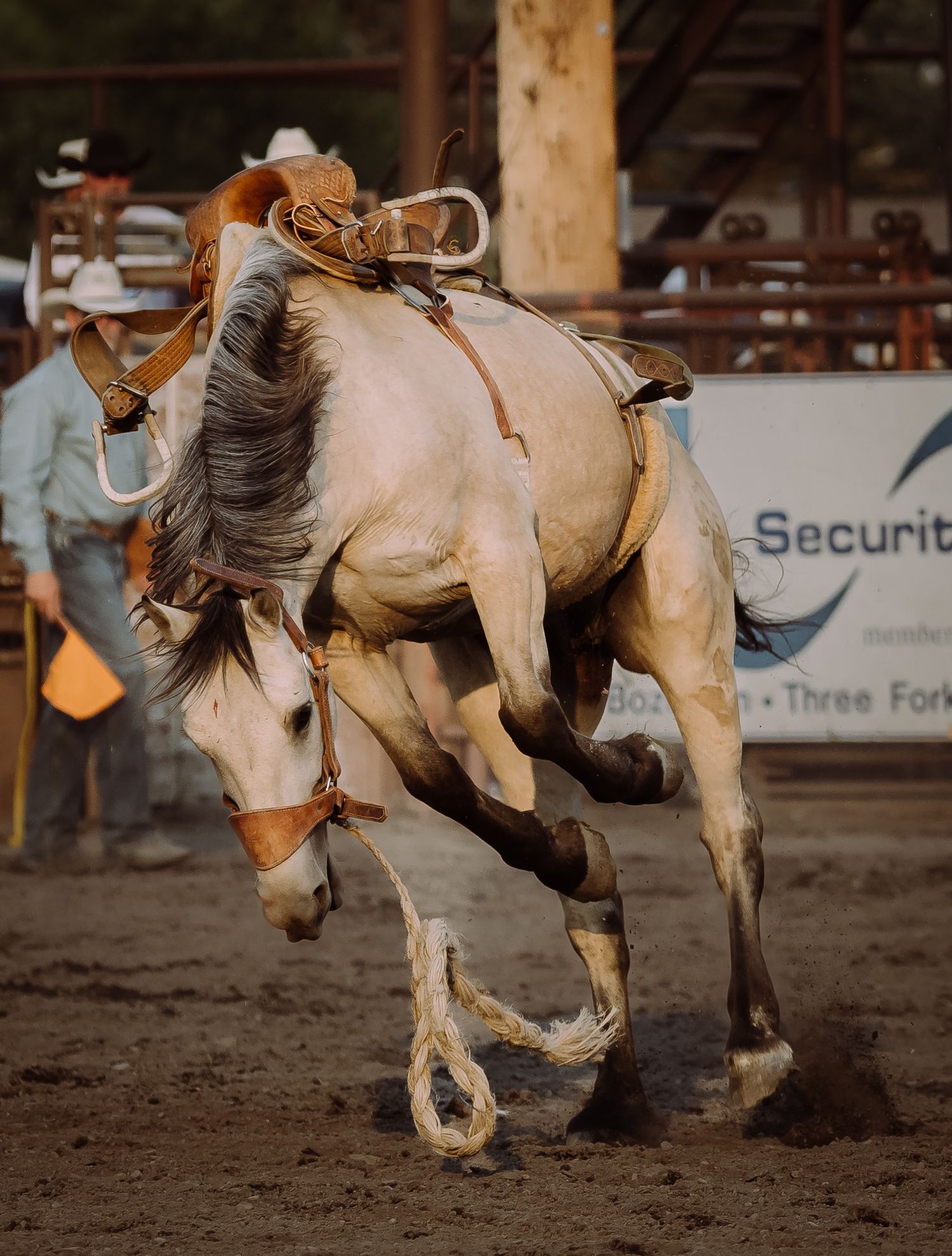 Rodeo Photography