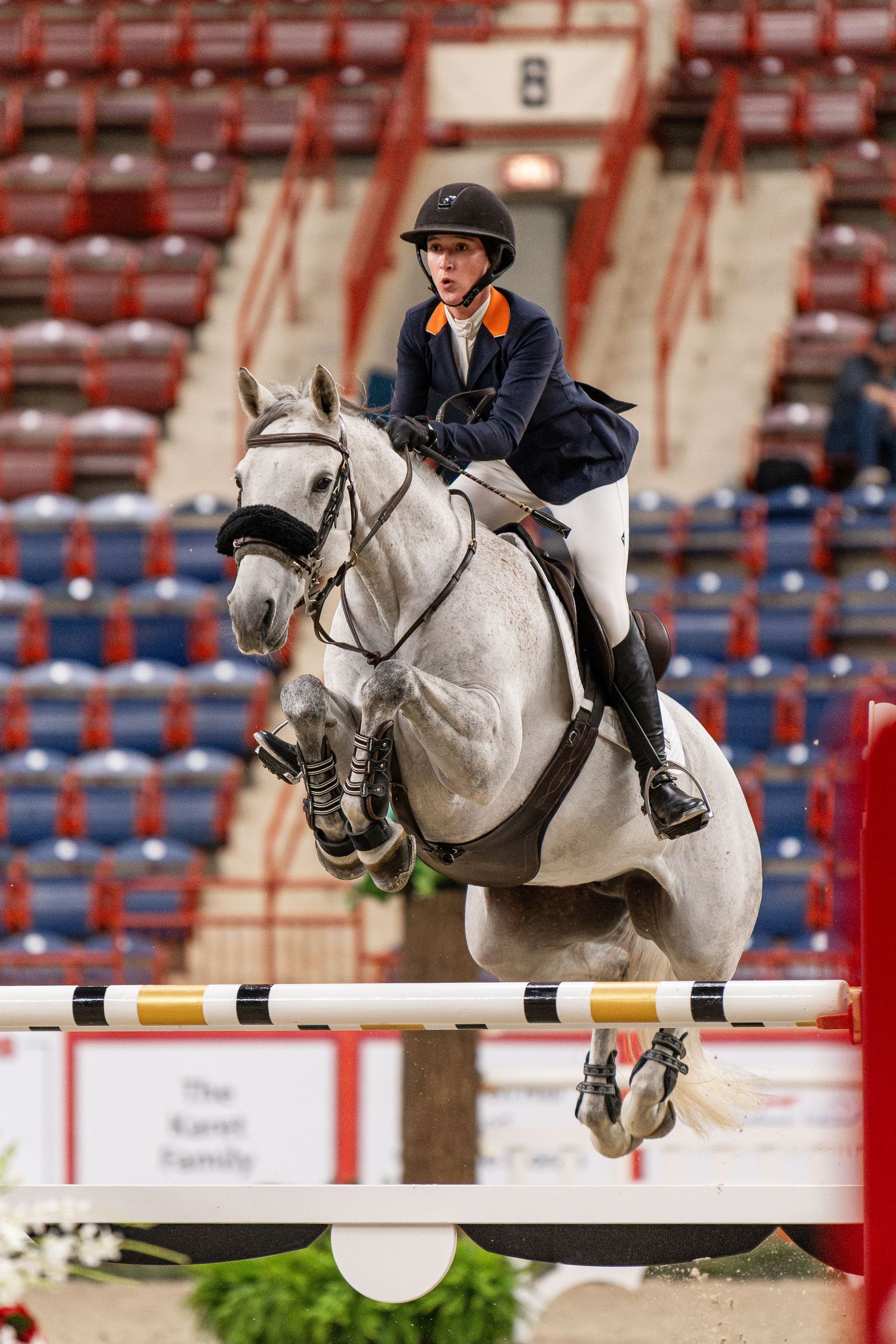 Equine Photography