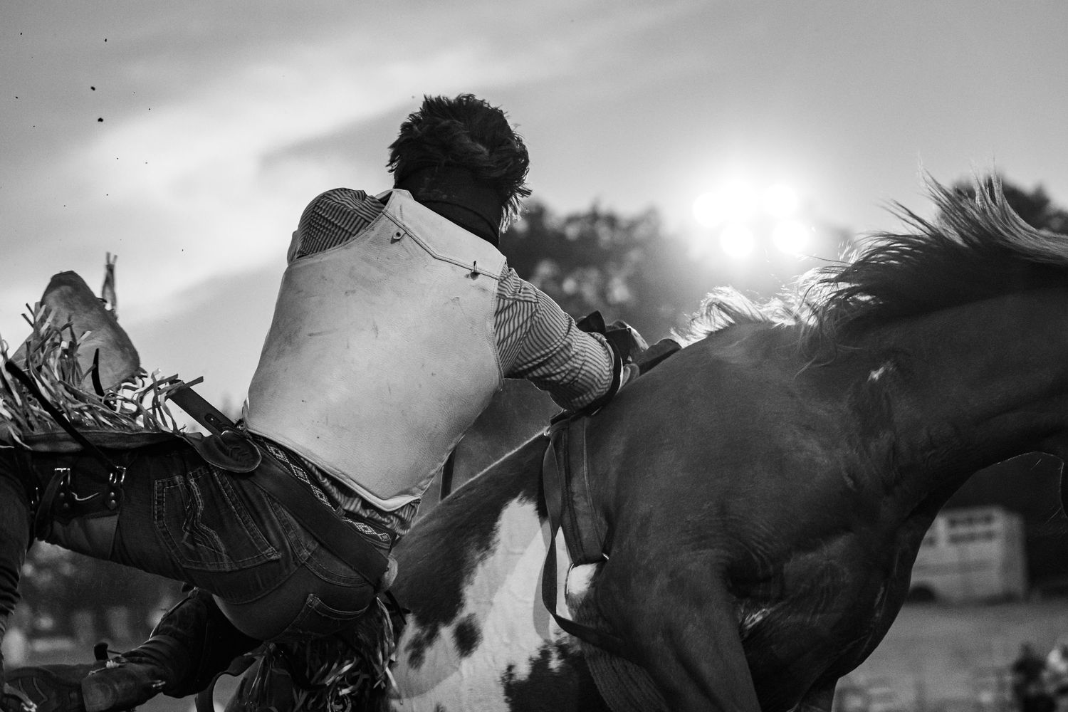 Rodeo Photography