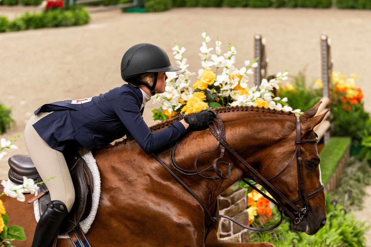 Equine Photography