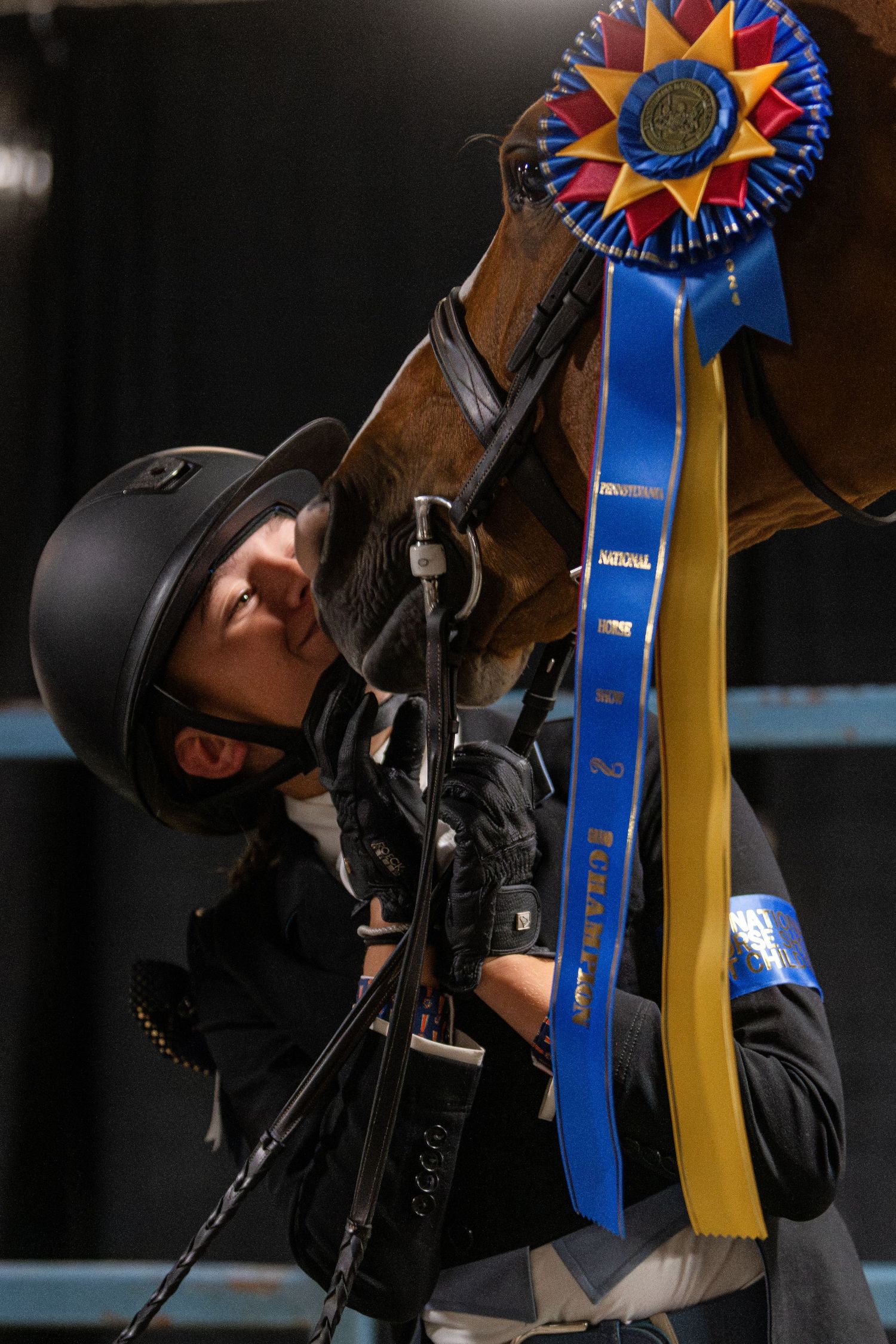 Equine Photography