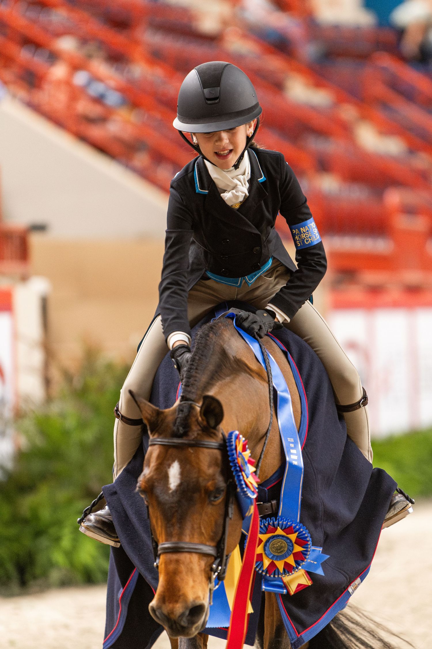Equine Photography