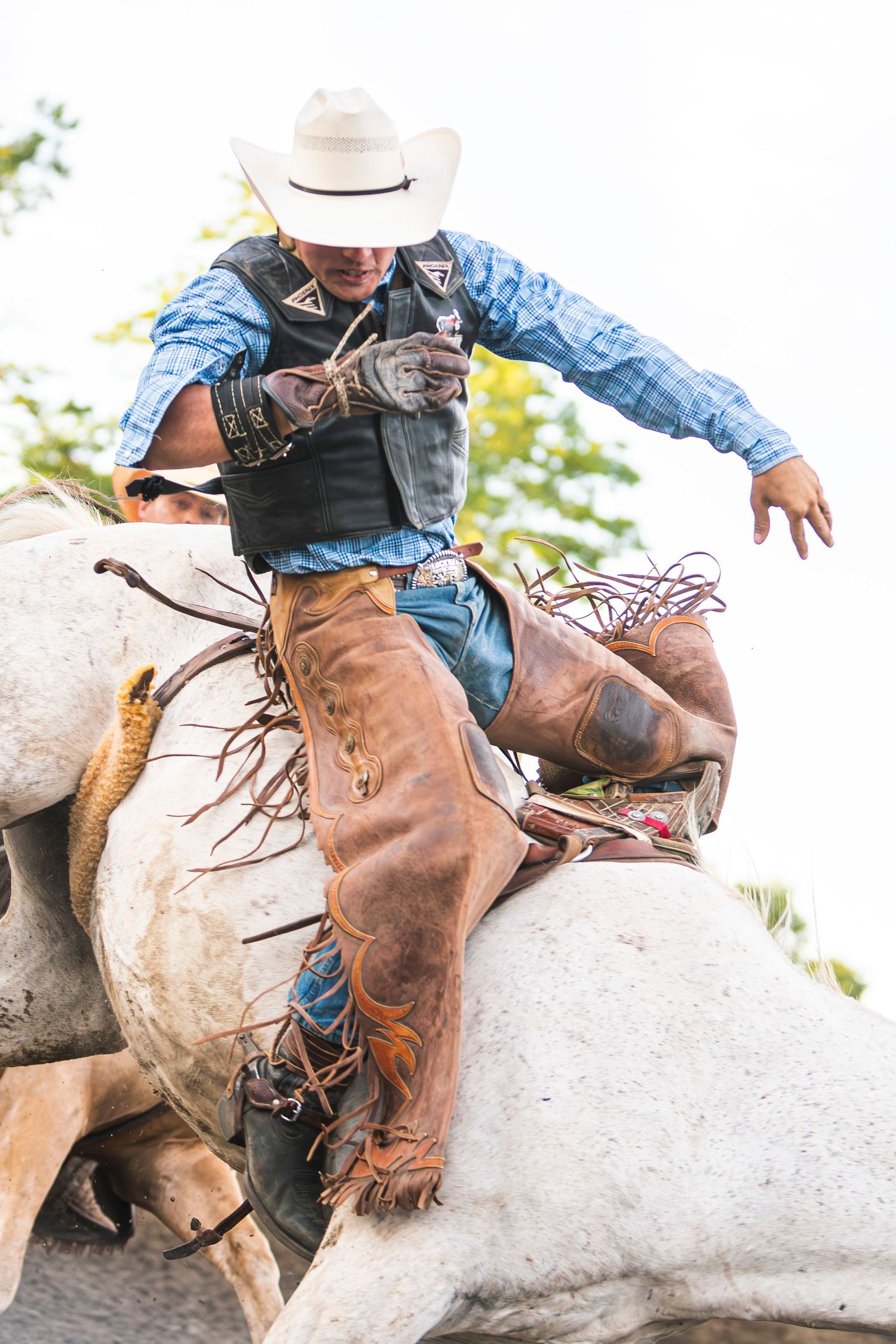 Rodeo Photography