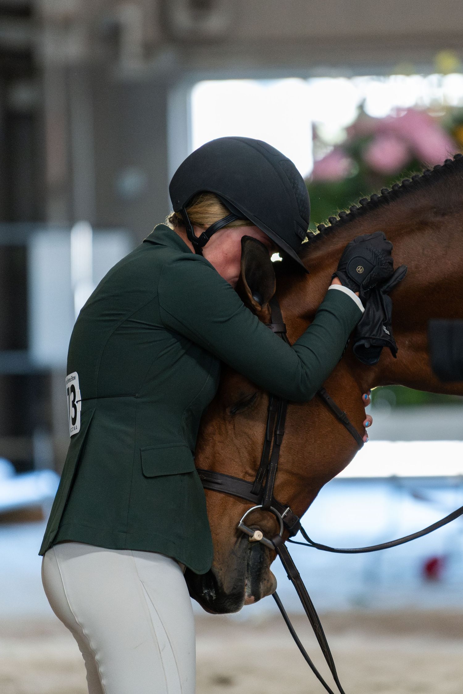 Equine Photography