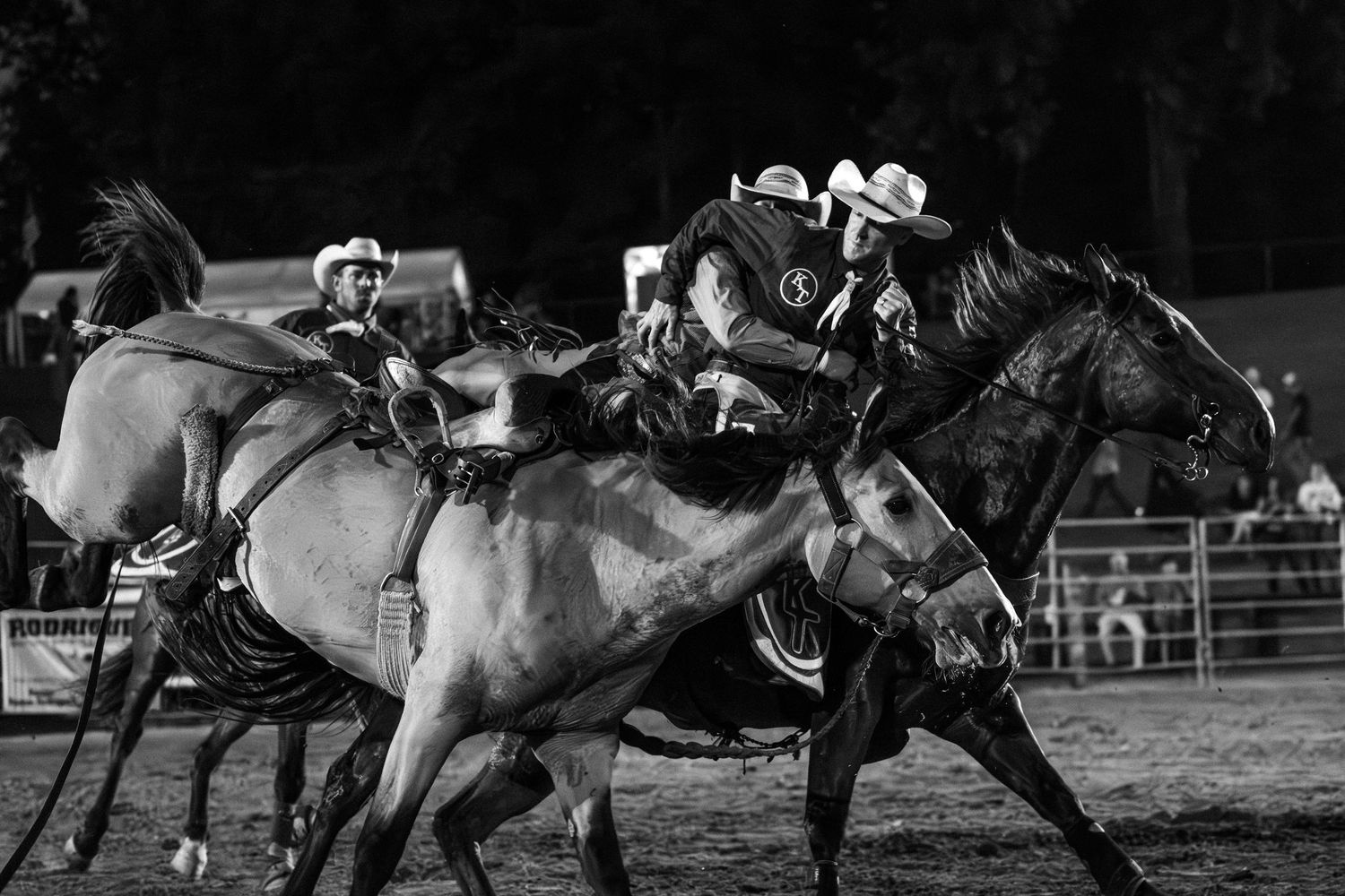 Rodeo Photography