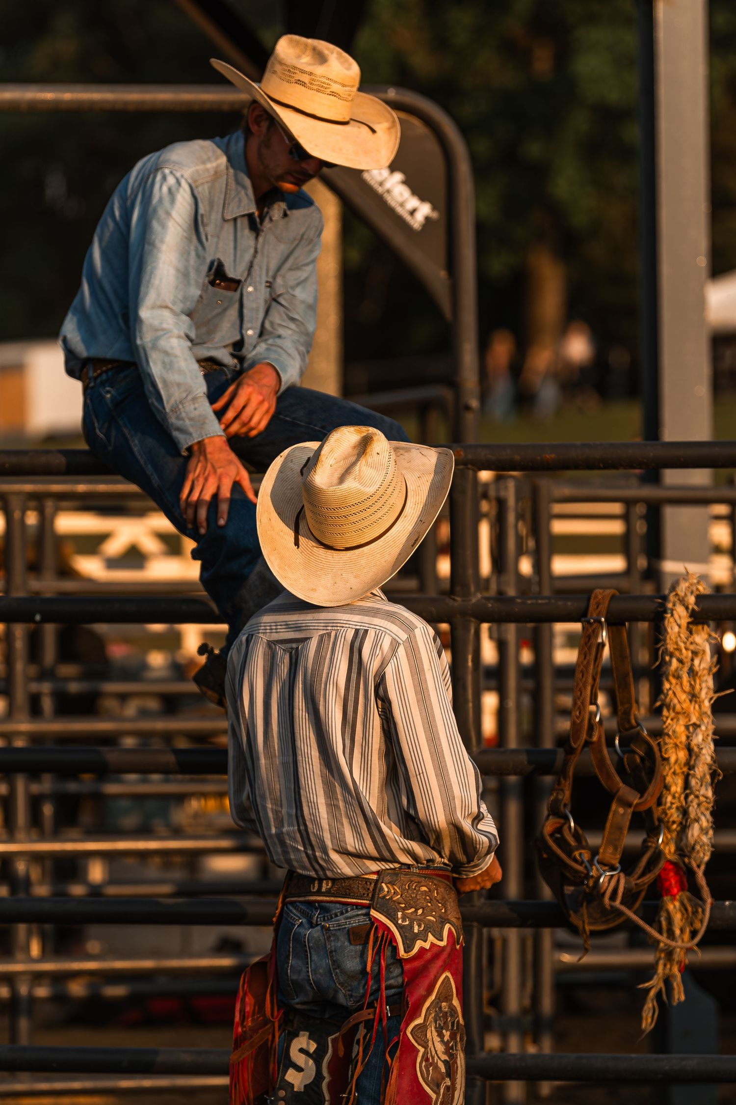 Rodeo Photography
