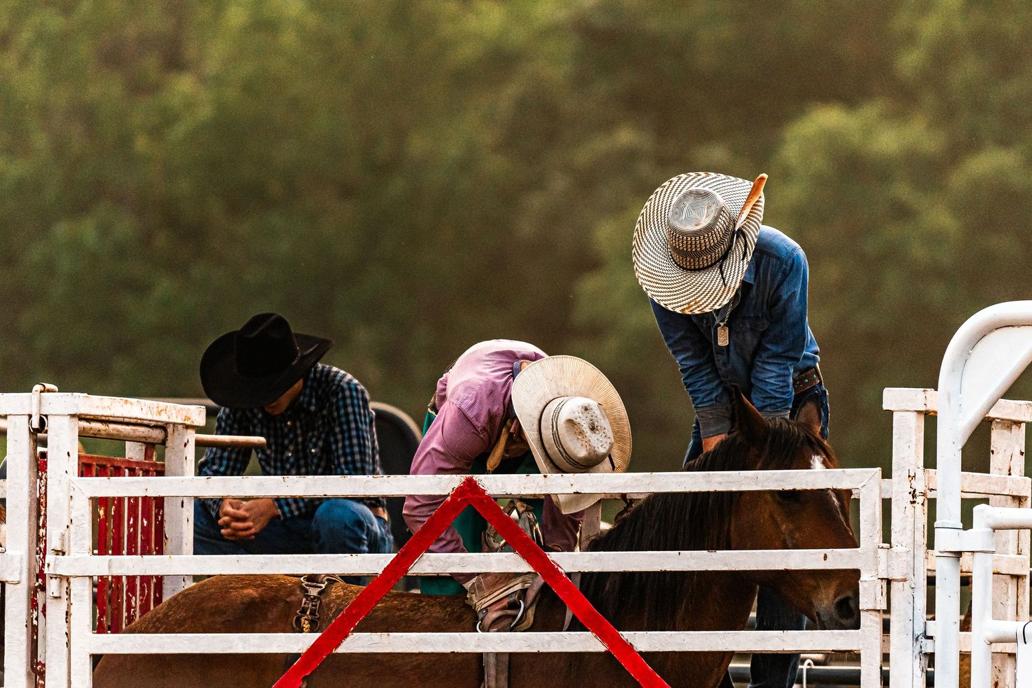 Rodeo Photography