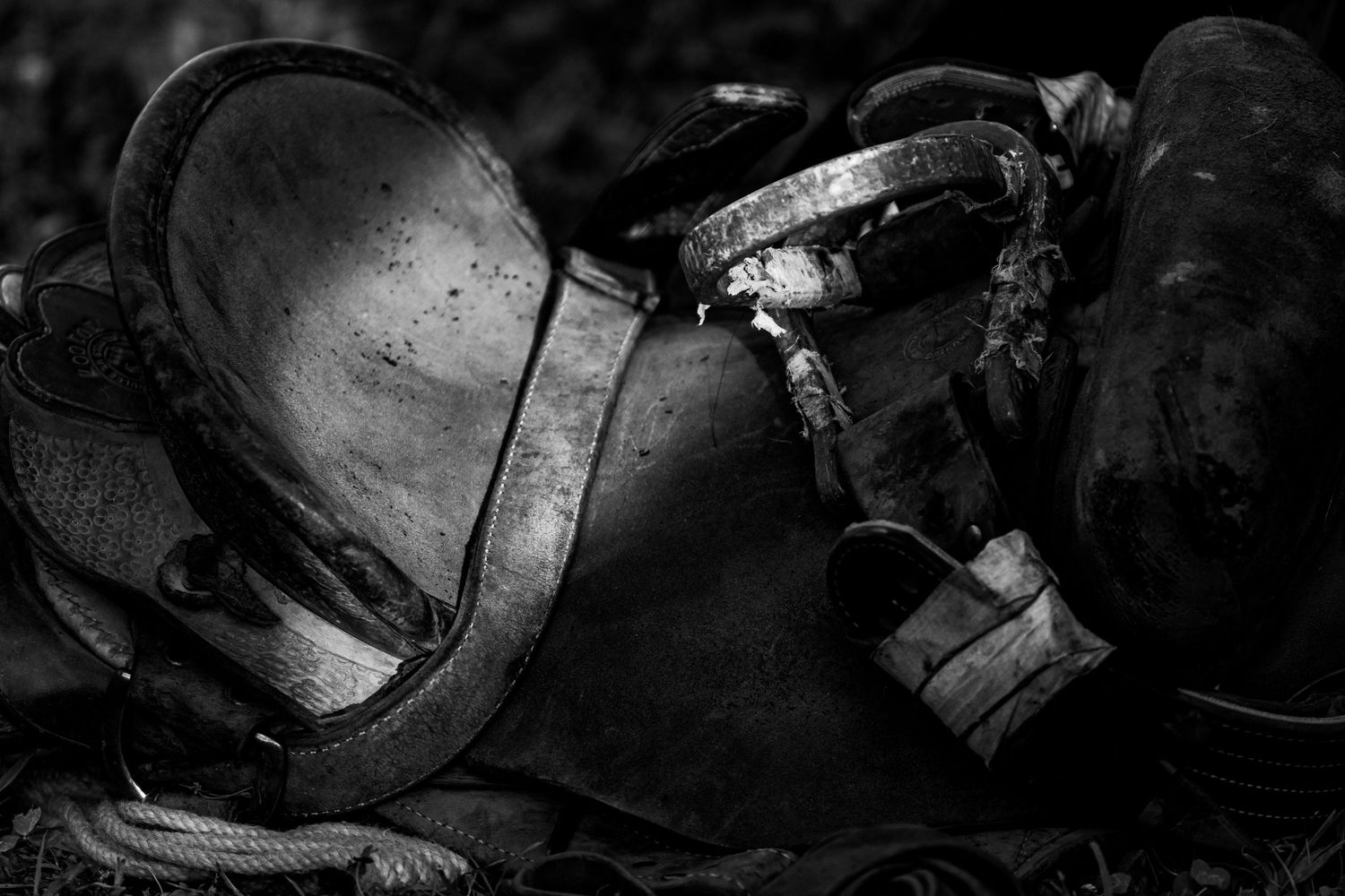 Rodeo Photography