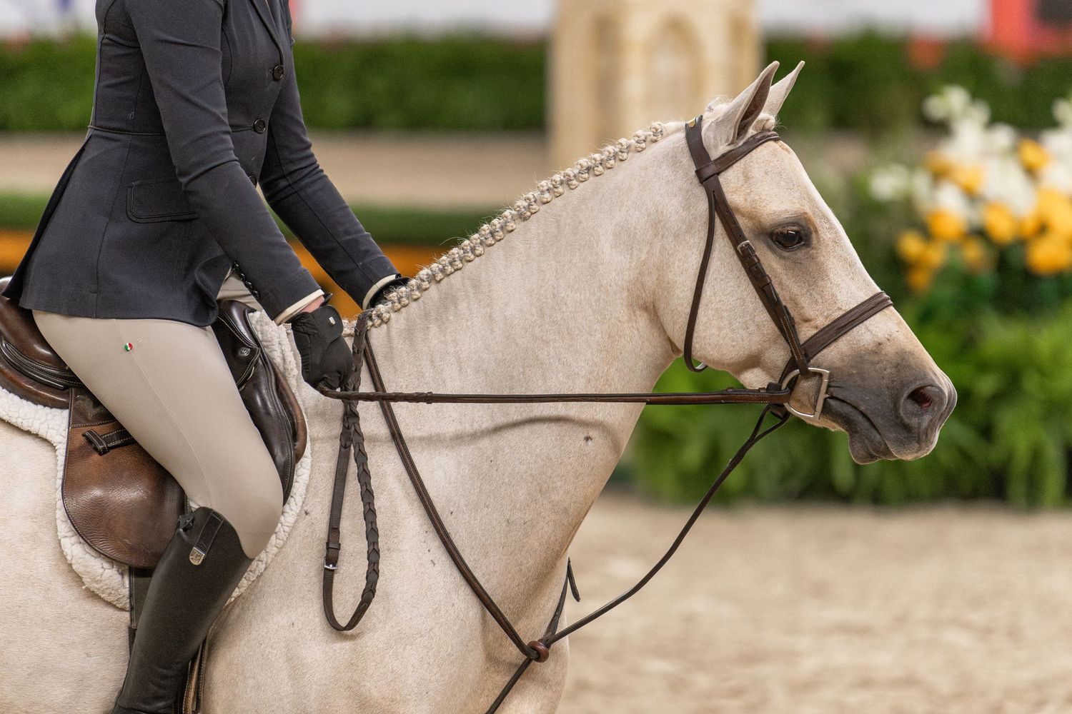 Equine Photography