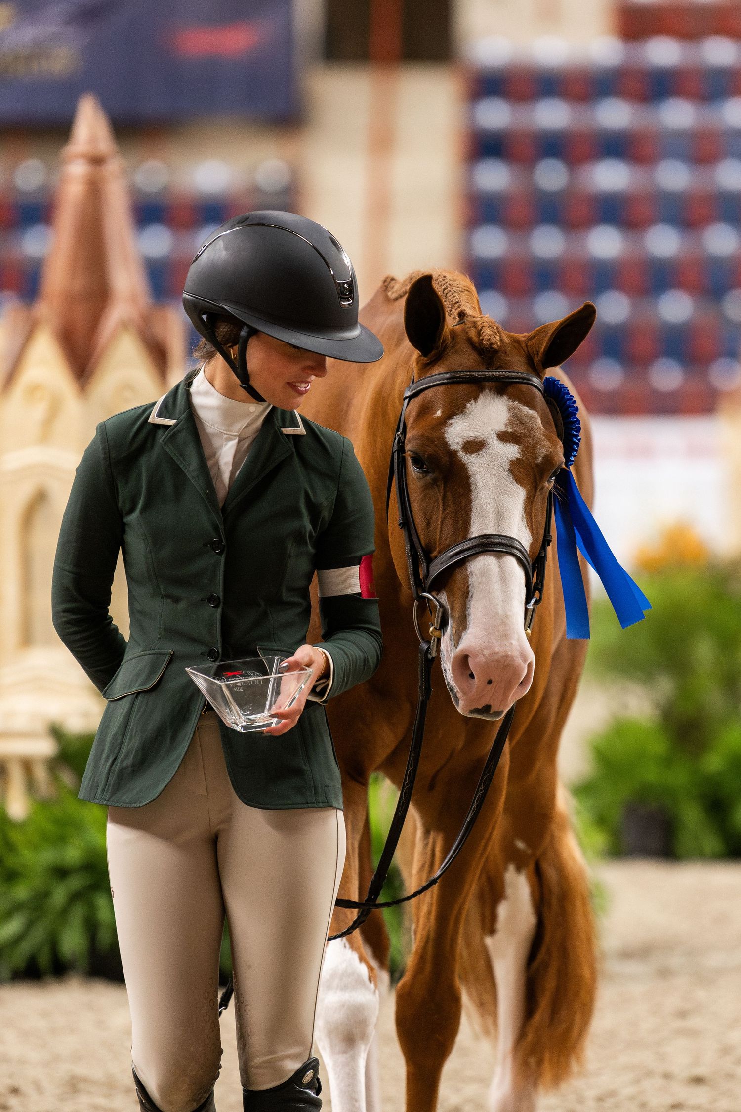 Equine Photography