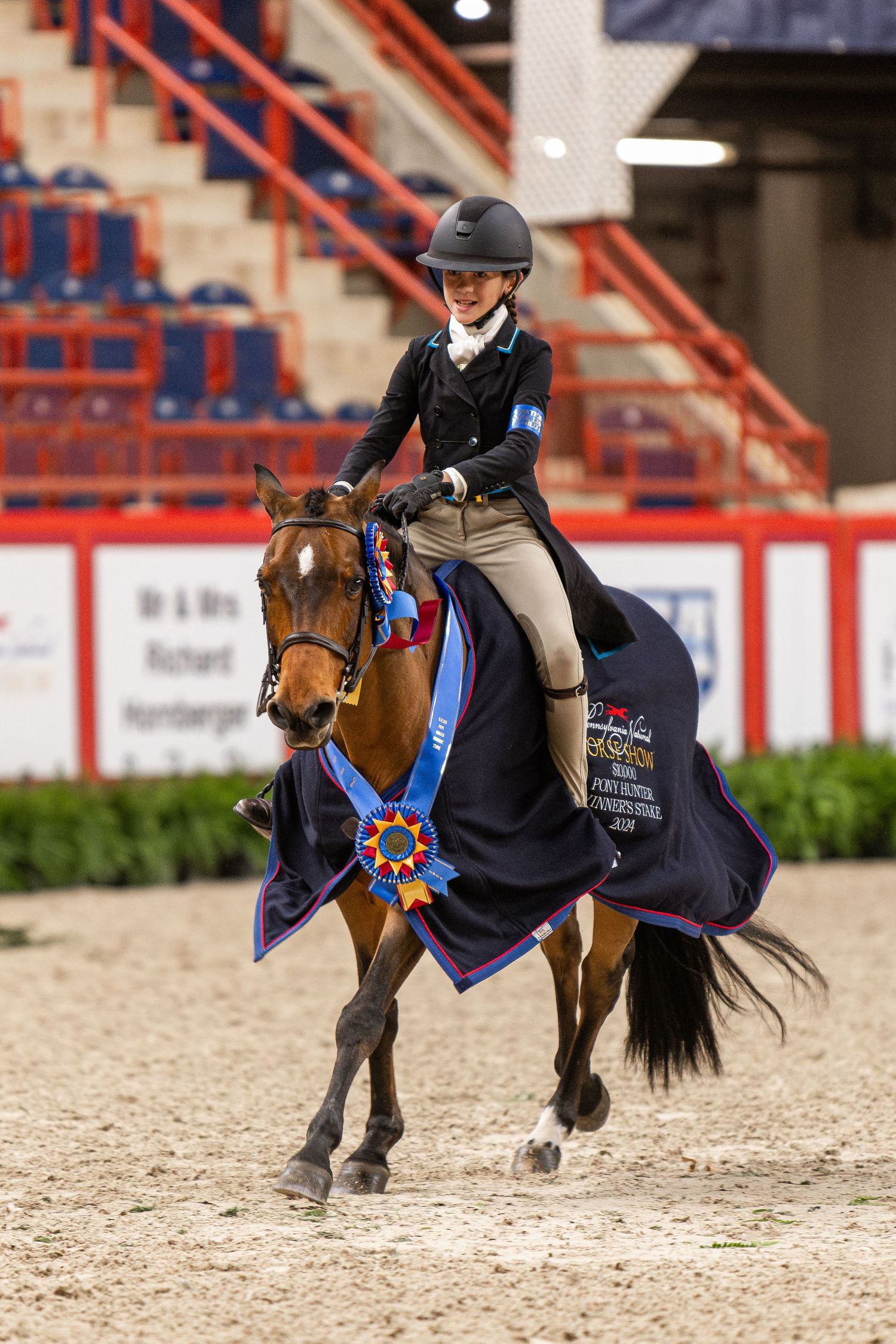 Equine Photography