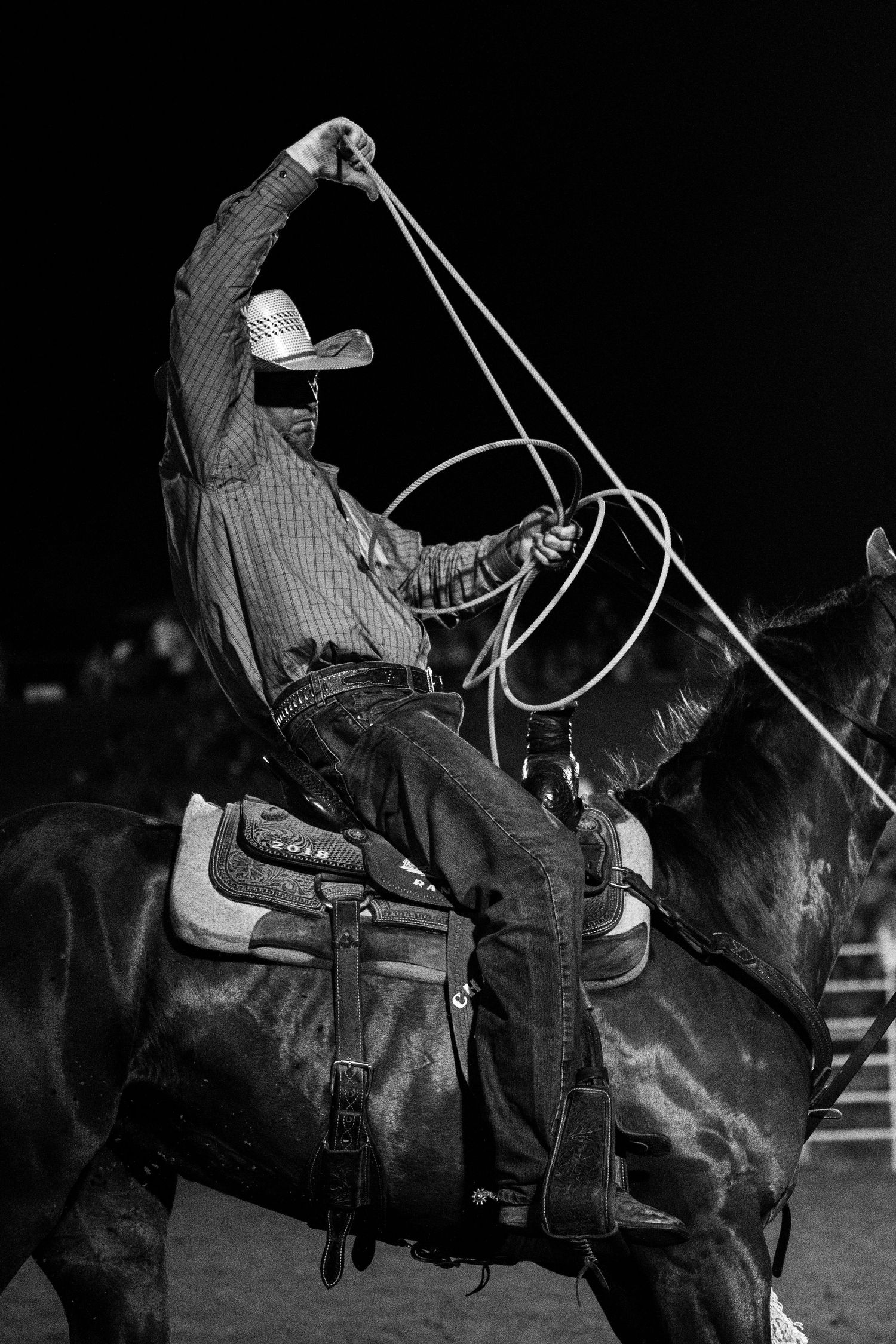 Rodeo Photography
