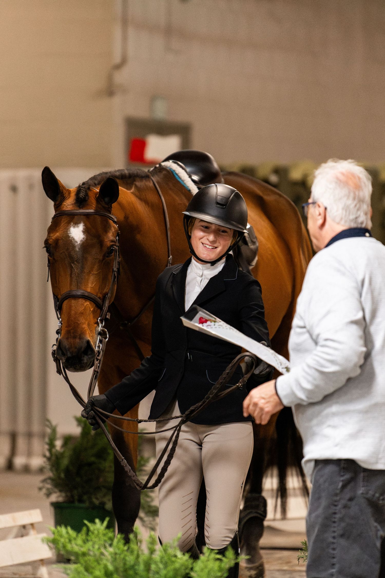 Equine Photography