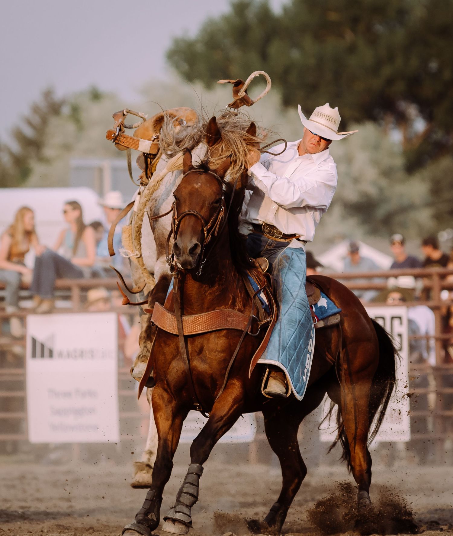 Rodeo Photography