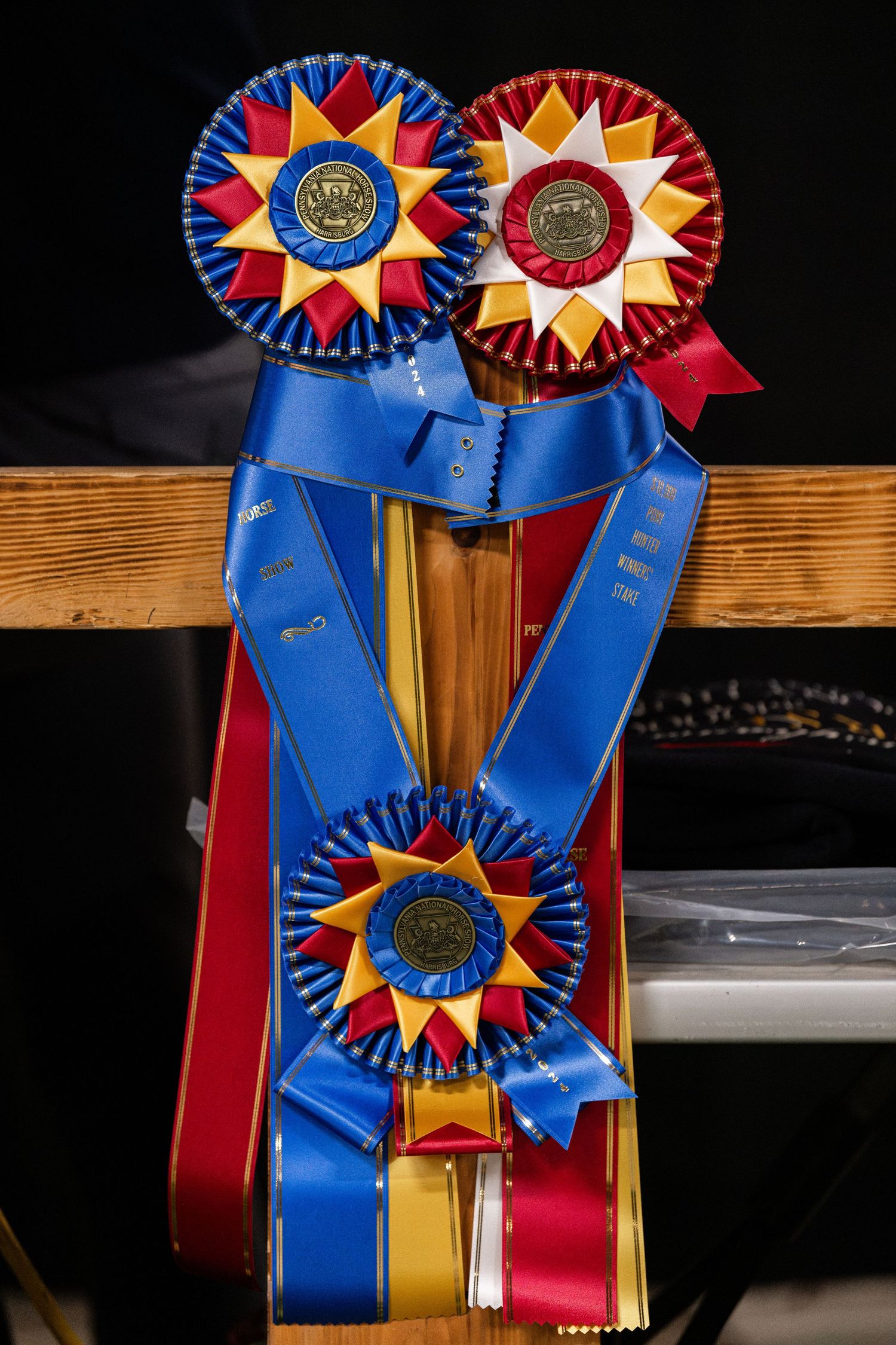 Equine Photography