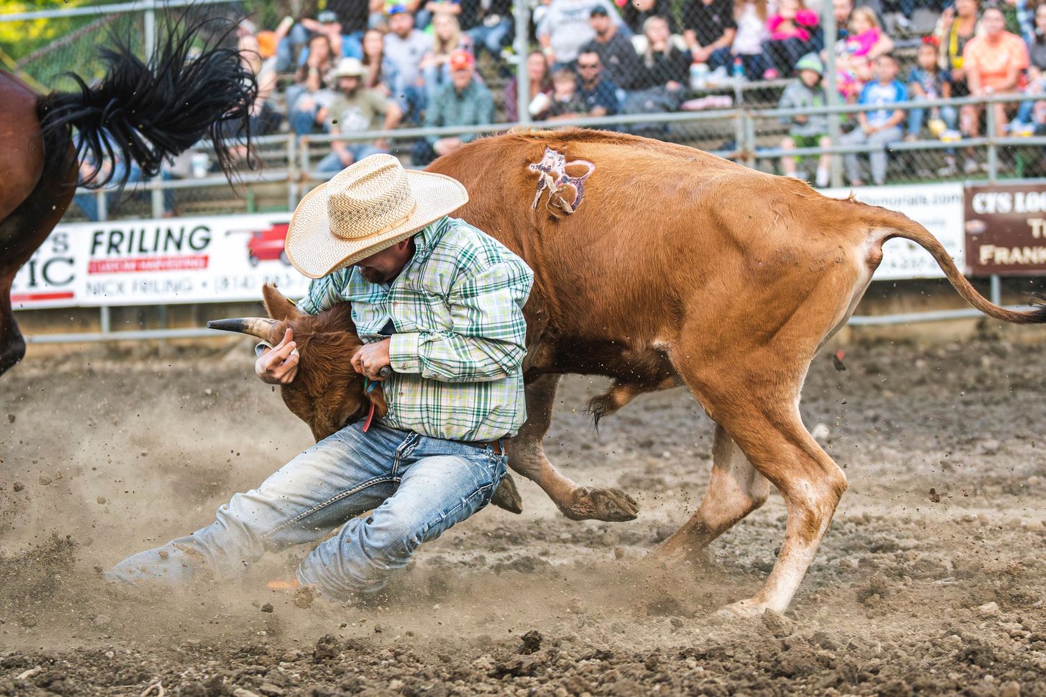 Rodeo Photography