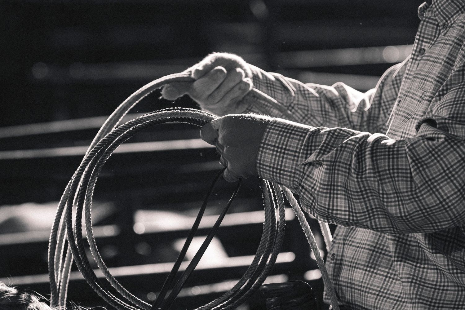 Rodeo Photography