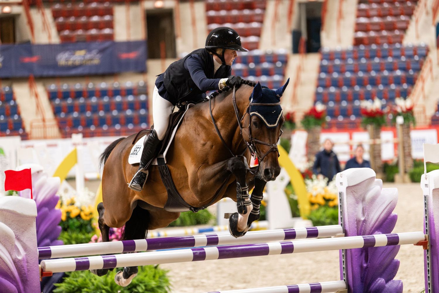 Equine Photography