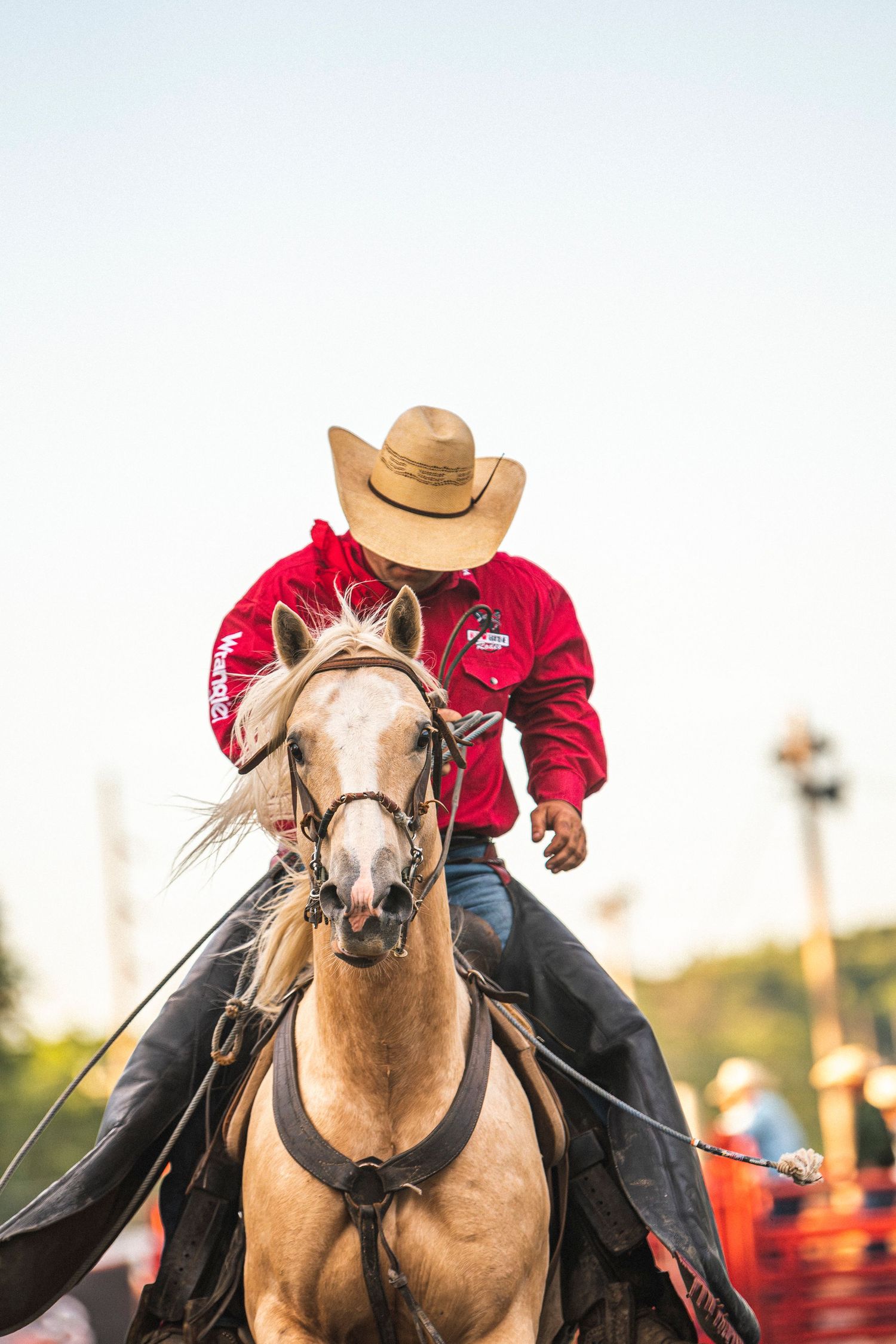 Rodeo Photography