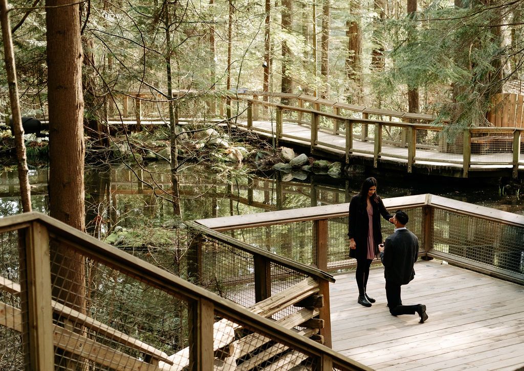 Two people in formal attire converse on wooden forest boardwalk surrounded by tall trees.