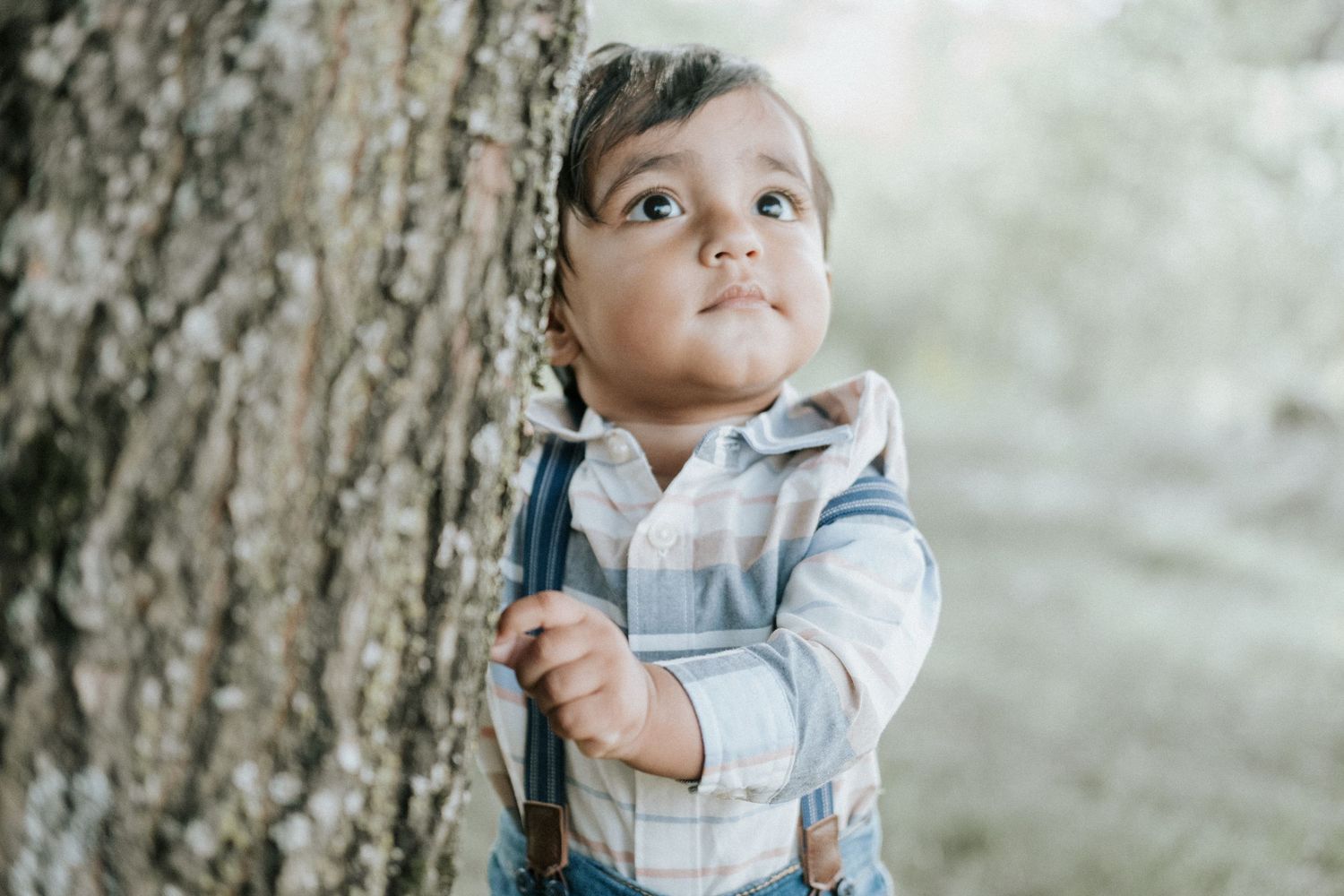 Curious toddler boy in striped shirt and suspenders leaning against tree trunk looking up.