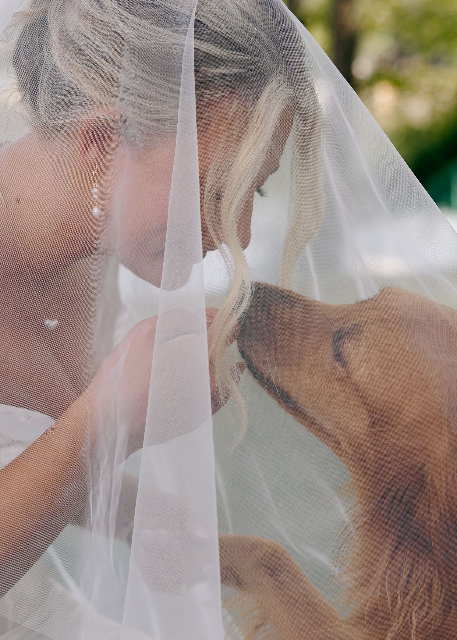 A romantic wedding veil moment captured in soft natural light during an intimate outdoor ceremony.