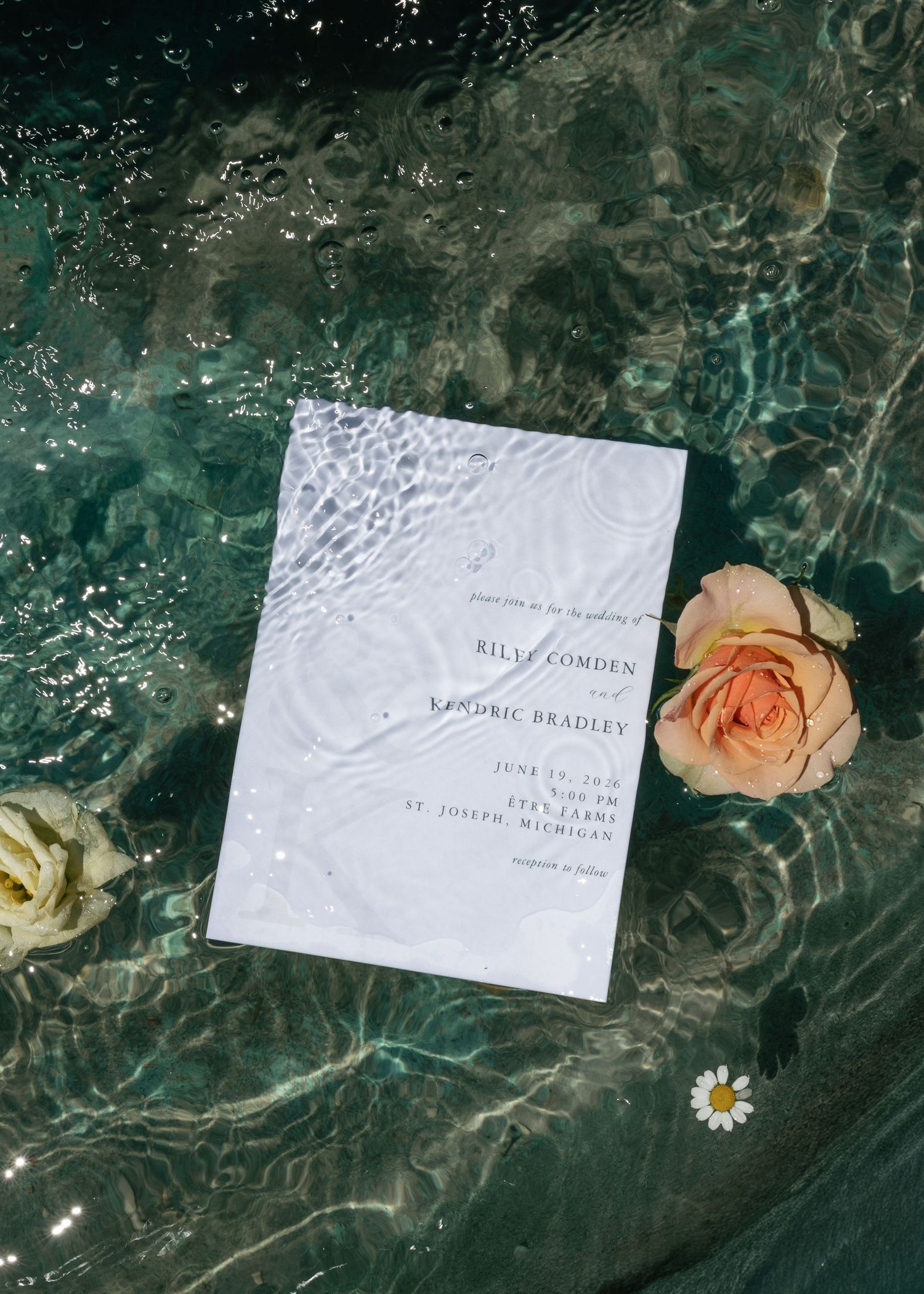 Elegant wedding invitation for Bilye Comden and Kandril Bradley floating in water with roses and daisies.