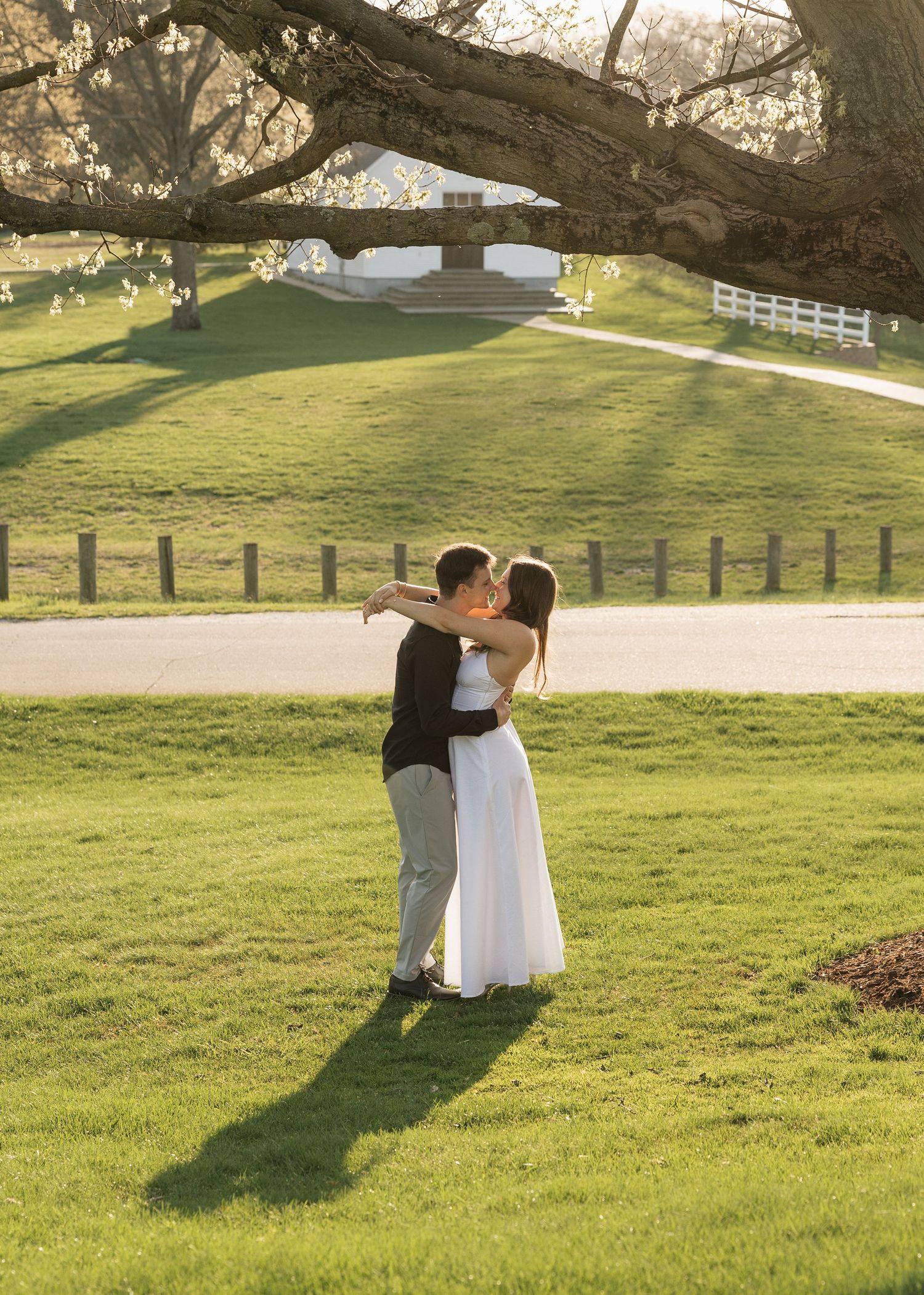 Couple sharing a romantic kiss on lush green lawn at golden hour, with white fence and blooming trees in background.