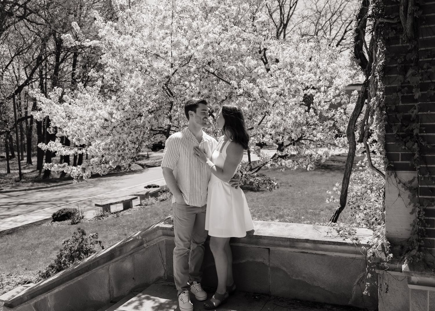 Black and white photo of a couple embracing under blooming trees on a stone terrace in spring.
