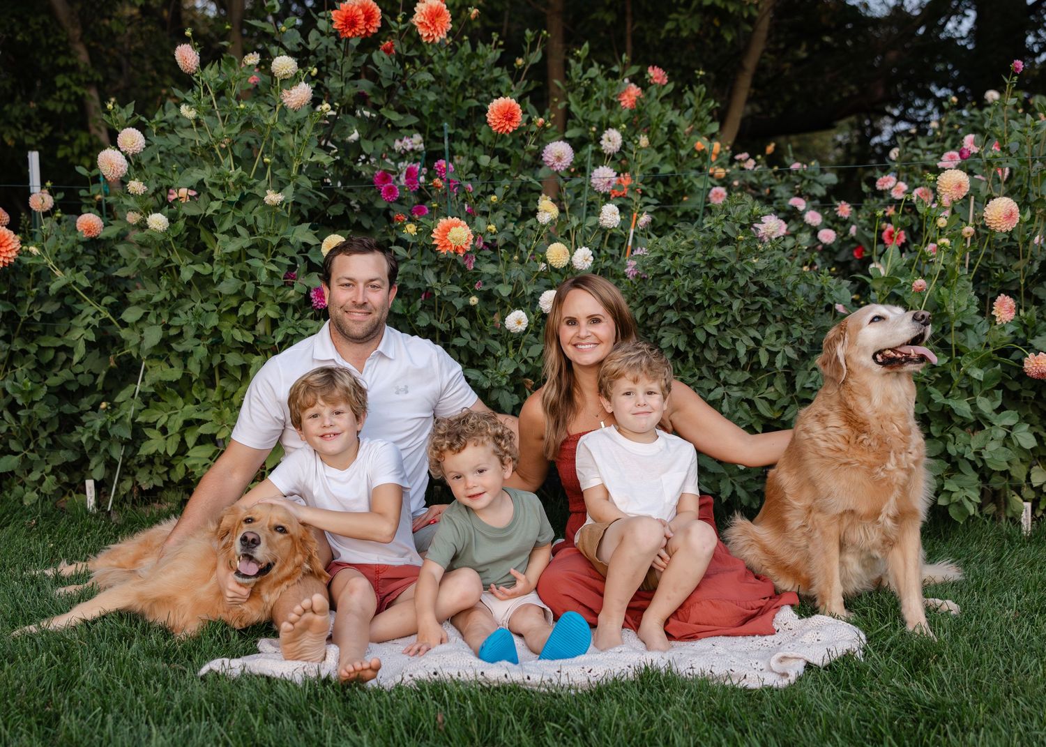 A family sits on a blanket with their golden retrievers in front of a rose garden.