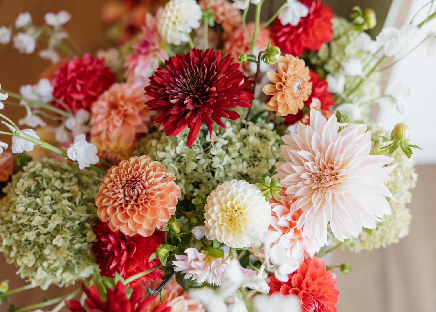Stunning wedding floral arrangement with red, pink, and white dahlias and hydrangeas.