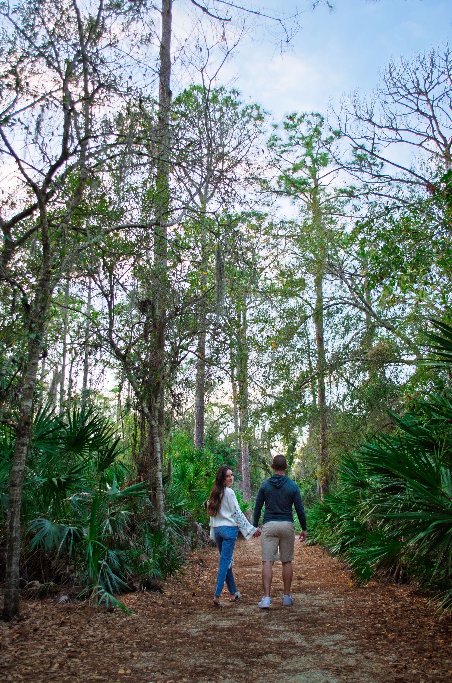 People walking on a nature trail surrounded by tall pine trees and lush green palmettos in a Florida forest.