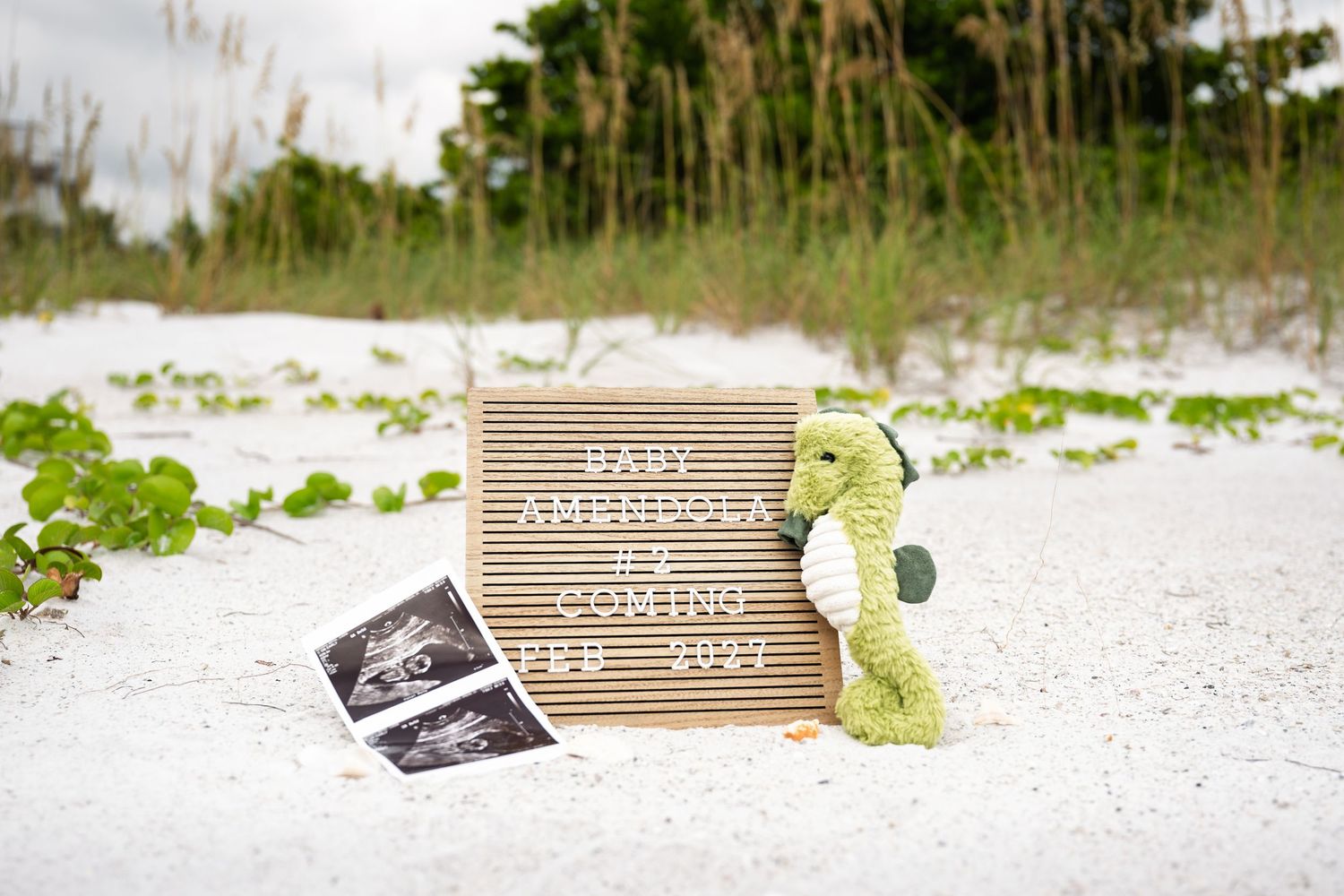 Beach pregnancy announcement with ultrasound photos, letter board reading Baby Amenpola Coming Feb 2022, and green dinosaur plush toy.