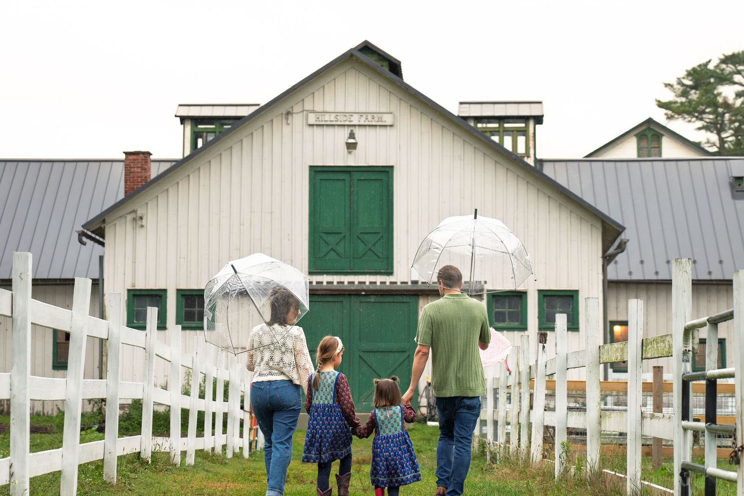 Family of four with umbrellas walking toward a white barn with green doors on a rainy day.