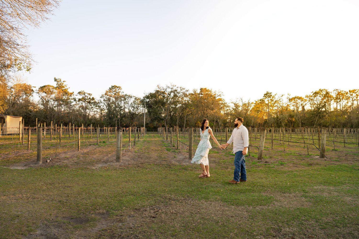 A couple walks through a scenic vineyard at sunset while their dog follows behind them.