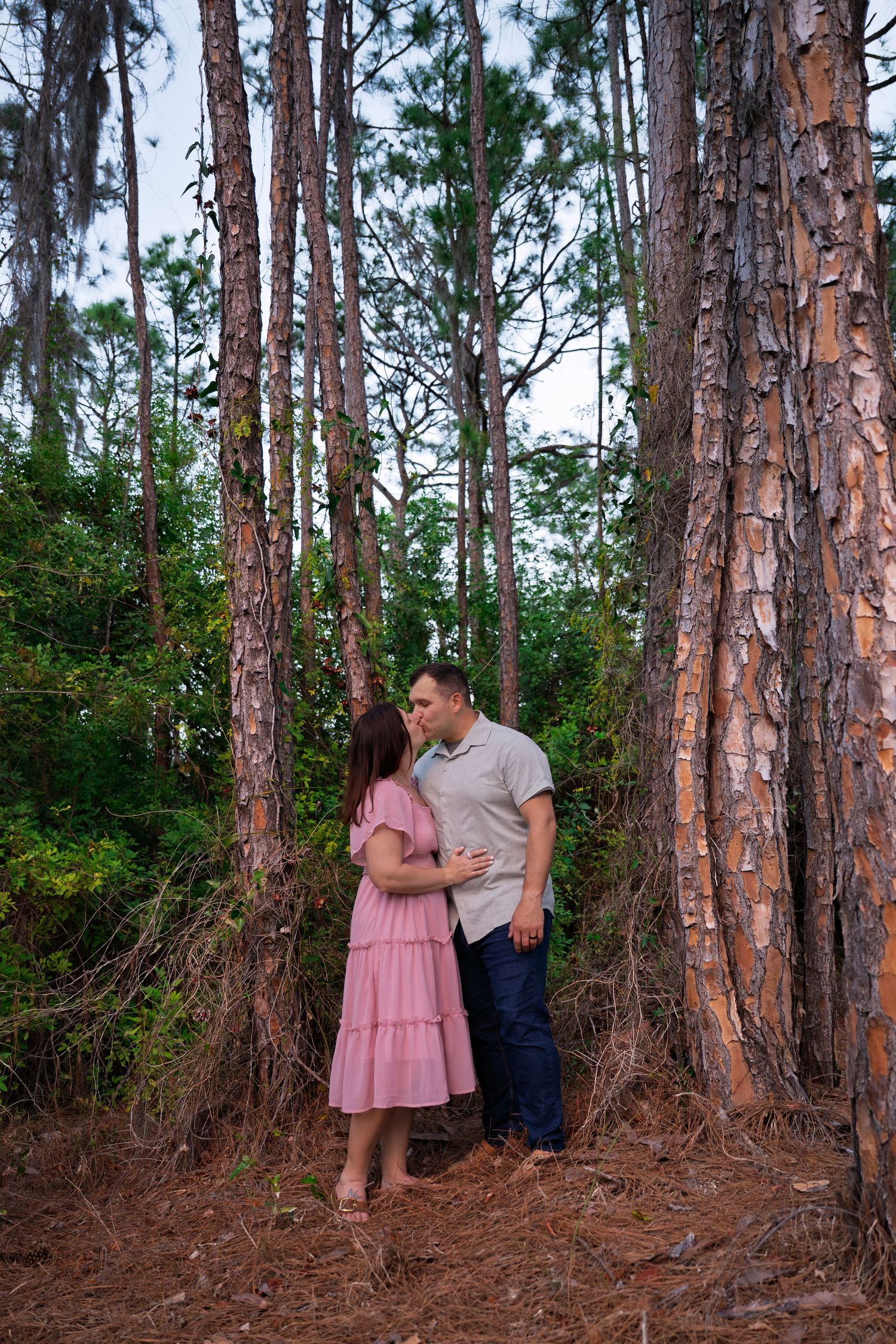 A couple shares romantic moments among tall pine trees in a forest setting wearing pink dress and casual attire.