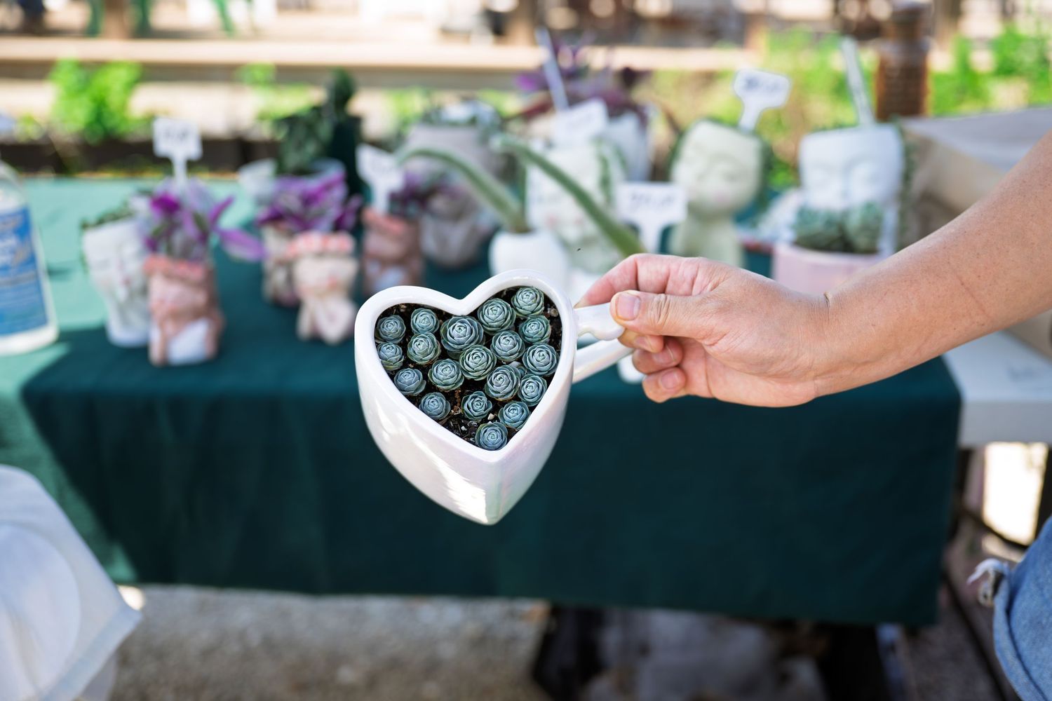 Hand holding a white heart-shaped bowl filled with small succulents at an outdoor plant market.
