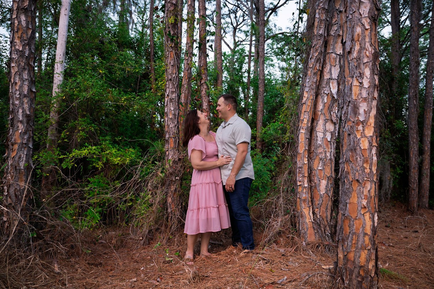 A couple shares a romantic moment among tall pine trees in a forest setting during a photo session.