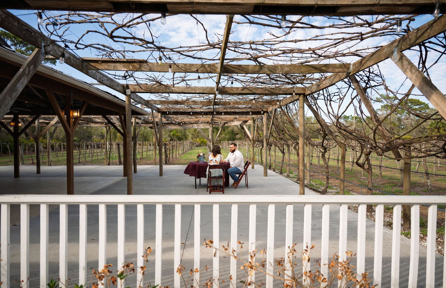 A panoramic collage of wooden pergola structures and white picket fences in a garden or outdoor setting.
